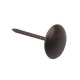   20 (100 ) /TRODOS/