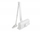   3 S . . ( 50  80 )  (632 white) /-/