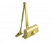   2 S . ( 25  50 )  (602 gold) /-/