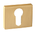 Накладка на цилиндр квадр. ЕТ 01 SSG/золото матовое сатинированное/RENZ/ Накладка на цилиндр квадр. ЕТ 01 SSG/золото матовое сатинированное/RENZ/